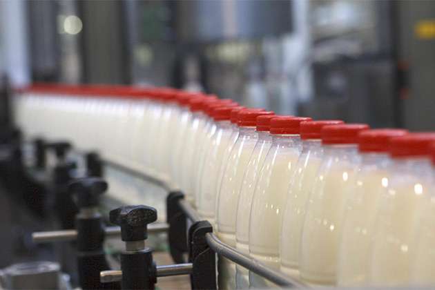 ​Китайцы вложат 1,2 млрд долларов в белорусское молоко